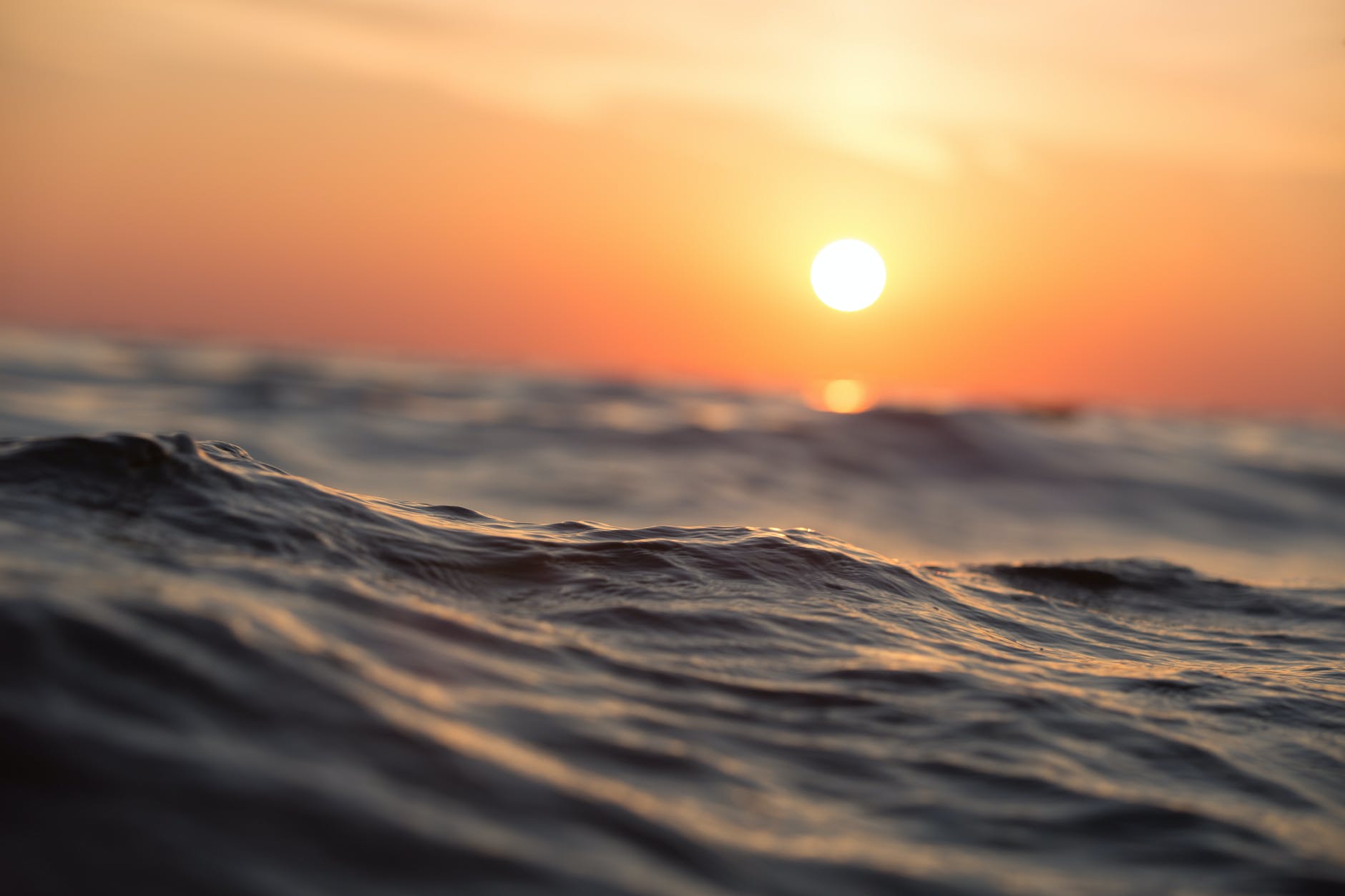 Pivoting Forward: The Birth of Our Vision